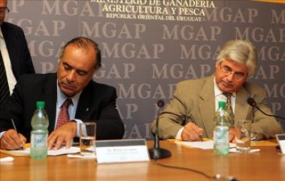 Los vinos impulsan Uruguay Natural. A partir de este año llevarán marca país en la etiqueta