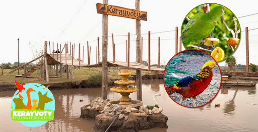 Reserva ecológica Kerayvoty, el lugar de Julio Medina un modelo de emprendedurismo. Colonia Este, Parte II