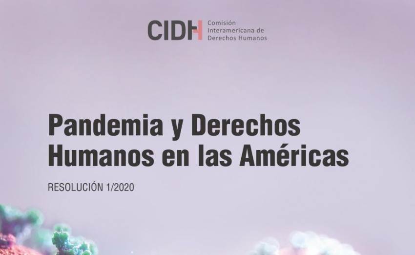 Pandemia y Derechos Humanos en las Américas