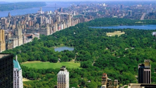 Riu construir&aacute; en Nueva York un hotel de 500 habitaciones
