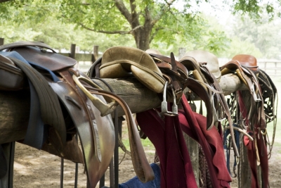 Destreza y aventura en los Circuitos de Polo de Argentina