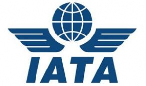Fuerte ca&iacute;da de los pasajeros "premium" en octubre, seg&uacute;n la IATA 