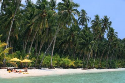Playas de Asia, por qué
