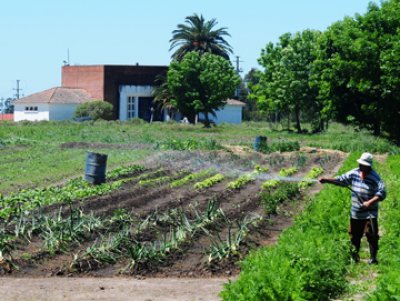Uruguay: m&aacute;s de 150 trabajadores dom&eacute;sticos y rurales se incorporan al Sistema de Turismo Social