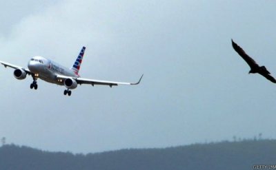 Los materiales "autocurables" ya son una realidad