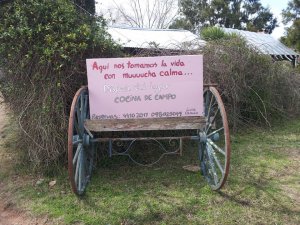 Pueblo Edén celebra sus noventa y seis jóvenes años