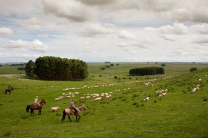 Turismo rural en Uruguay natural y productivo.