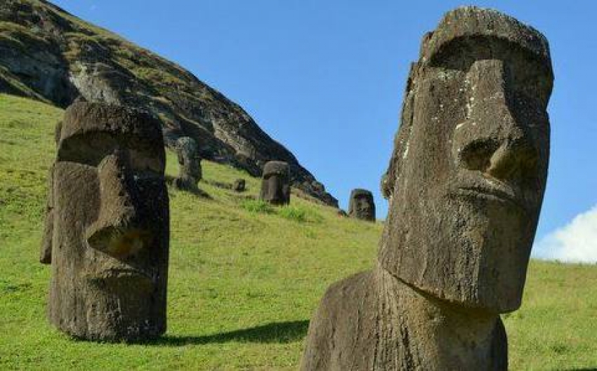 L&iacute;quenes, erosi&oacute;n y ganado: Isla de Pascua lucha contra el deterioro de sus mo&aacute;i