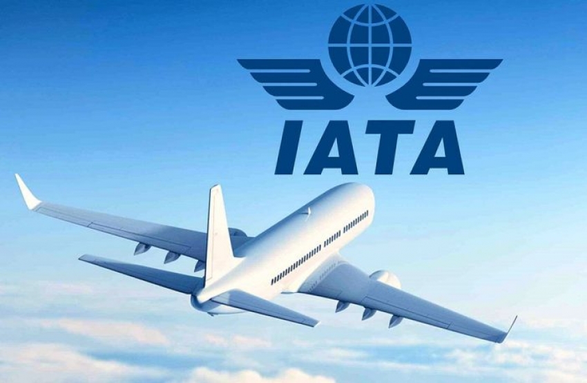 IATA: el tr&aacute;fico a&eacute;reo de Am&eacute;rica Latina y el Caribe permanece estancado