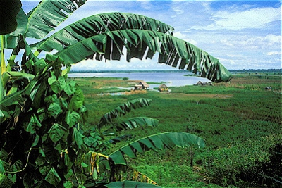 Lonely Planet incluye a Iquitos entre las ciudades a visitar en 2011