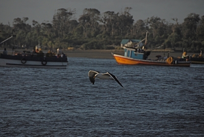 Parque Tantauco: la ruta imperdible de Chiloé