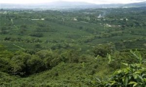 Empresarios costarricenses piden que turismo sea prioridad del nuevo gobierno