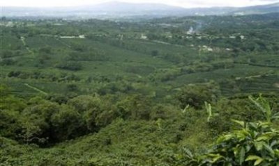Empresarios costarricenses piden que turismo sea prioridad del nuevo gobierno