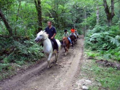 Diseños de productos turisticos alternativos