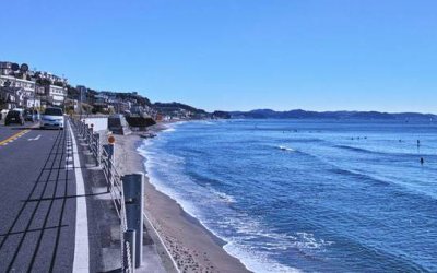 Tiburones en la costa oriental de Jap&oacute;n ponen en jaque al turismo
