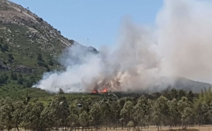 Nueva ley impide ahora a la aviaci&oacute;n agr&iacute;cola colaborar en la extinci&oacute;n de incendios