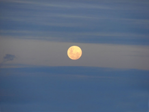 Argentina: En vísperas…(démosle una oportunidad a la paz social)