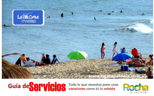 Gu&iacute;a de Servicios 2013