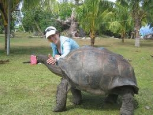 Compa&ntilde;&iacute;a hotelera crea reserva de tortugas