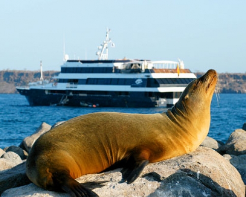 Las Islas Gal&aacute;pagos en Celebrity Xpedition