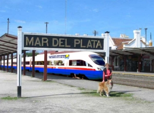 Sin política de transporte en el gobierno ni en la oposición.