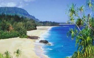 La exc&eacute;ntrica compra de Mark Zuckerberg