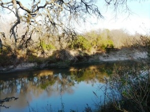 El parque General San Mart&iacute;n de La Picada en peligro