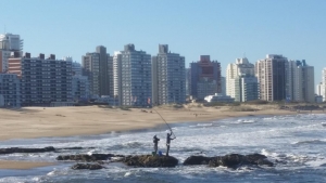 Plataforma nivel cero en la actividad turística