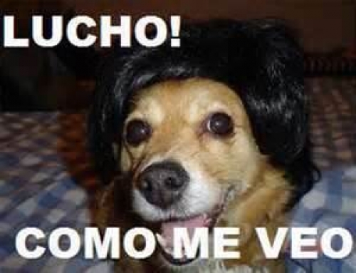 Dialoguitos con mi perro