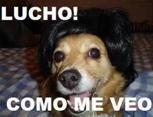 Dialoguitos con mi perro