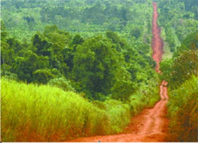 Misiones, Agroturismo en la selva. caminos de tierra roja