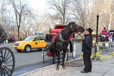 Nueva York, a un paso de prohibir los carruajes de caballos