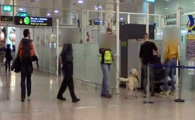 Pipo, el perro polic&iacute;a, descubre a un pasajero repleto de droga