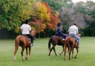 Marketing y Venta de programas de turismo rural