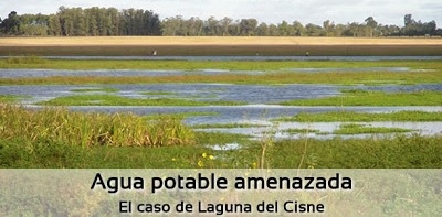 &iquest;Uruguay Natural?: Intiman al MVOTMA (Medio ambiente) por el da&ntilde;o al agua potable en Laguna del Cisne y R&iacute;o Santa Luc&iacute;a