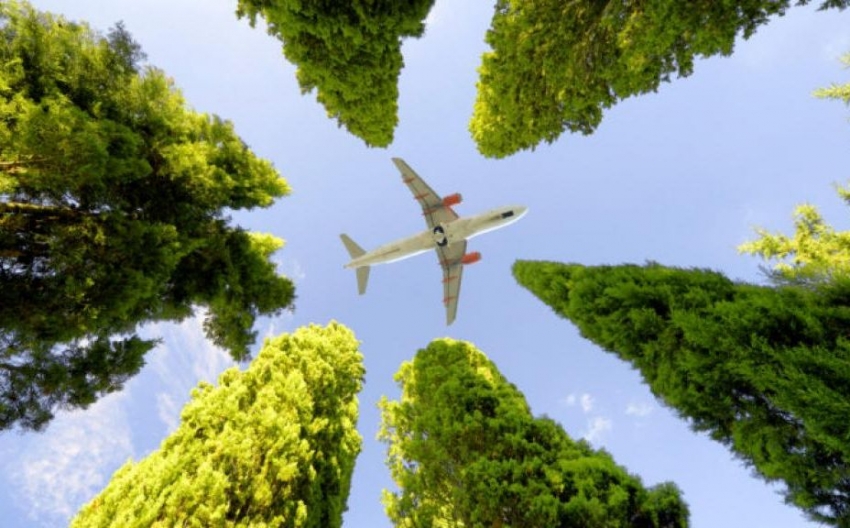 Las emisiones de carbono por pasajero disminuyen m&aacute;s del 50% desde 1990 seg&uacute;n IATA