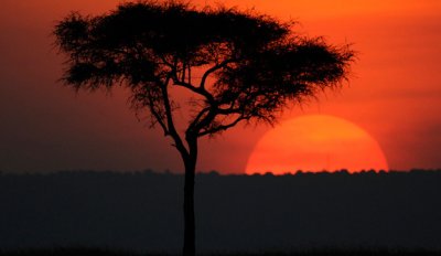 Safari en Masai Mara, escenario del &Aacute;frica m&aacute;s salvaje
