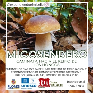 Recomendaci&oacute;n PDA: "Hogueras de San Juan" en Aigu&aacute; y "Micosendero" en Parque Bartolom&eacute; Hidalgo