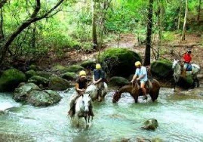 Tercera Ronda de Negocios en Espacios Rurales y de Naturaleza