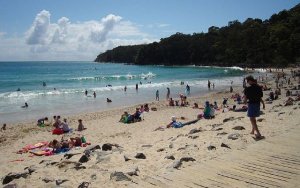 Australia: turistas tienen un 'c&oacute;digo de conducta' para usar sus smartphones