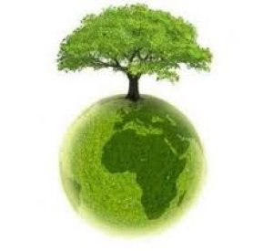 Paraguay puede ser ofrecido como destino verde, seg&uacute;n experta