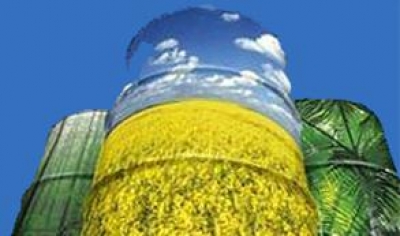 Airbus, Boeing y Embraer se unen para acelerar el uso de biocarburantes 