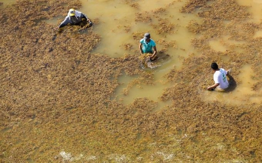  La costa de Riviera Maya proporciona la mitad de los ingresos por turismo de M&eacute;xico.