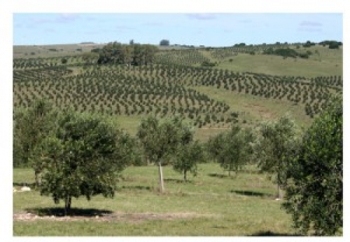 La IDM y la UdelaR trabajar&aacute;n para potenciar el turismo rural todo el a&ntilde;o