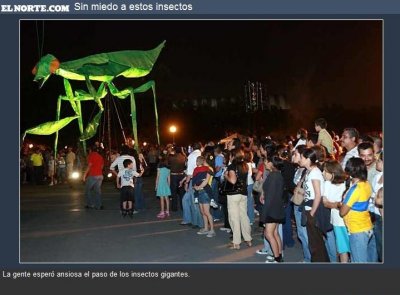 Tiembla Maldonado en el umbral de la temporada