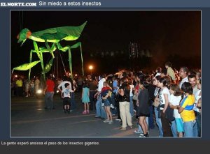 Tiembla Maldonado en el umbral de la temporada