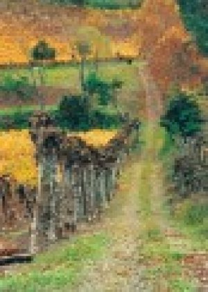 Calendario de Oto&ntilde;o de colores