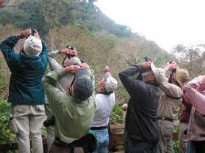 Encuentro de Observadores de aves en Fray Bentos