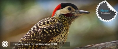 Feria de Aves de Sudamérica en San Martín de los Andes