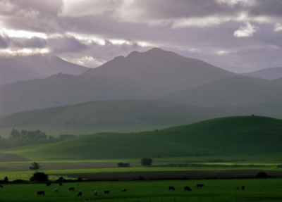 Destino 365: Excelente análisis sobre la estacionalidad y los nichos turísticos